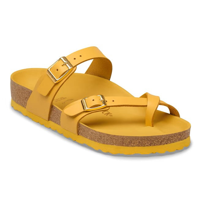 Mayari : Amalfi Ochre