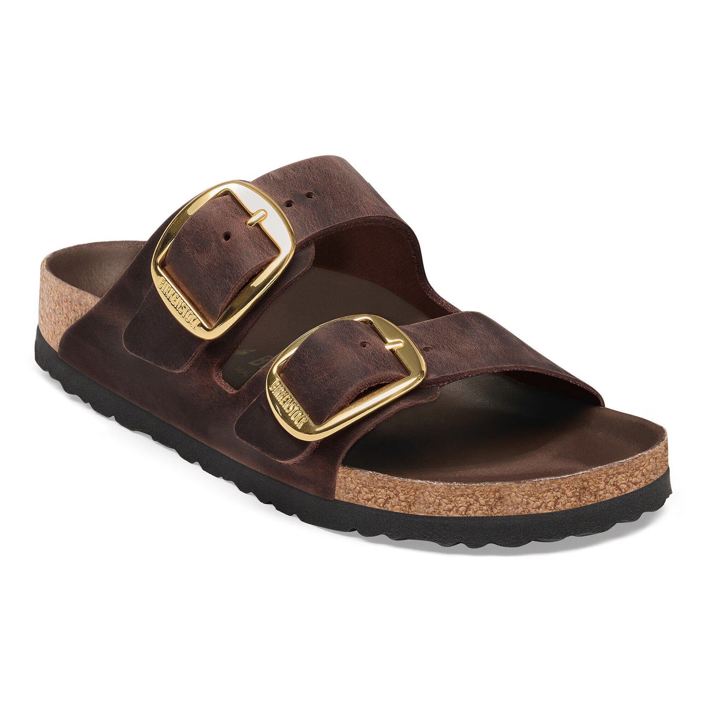 Arizona Big Buckle : Habana
