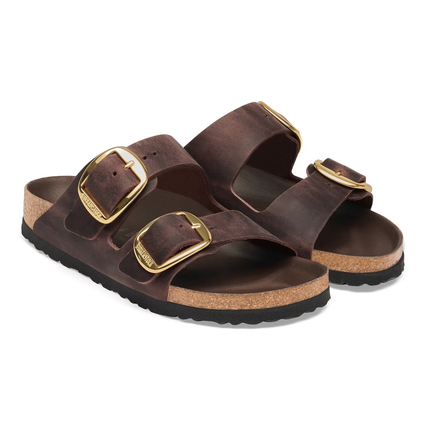 Arizona Big Buckle : Habana