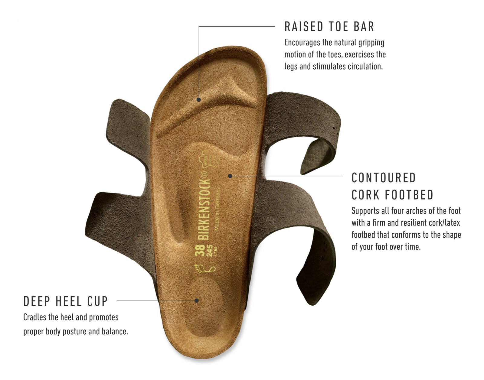 Sizing and Fit - Complete Birkenstock